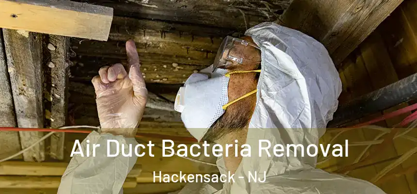  Air Duct Bacteria Removal Hackensack - NJ