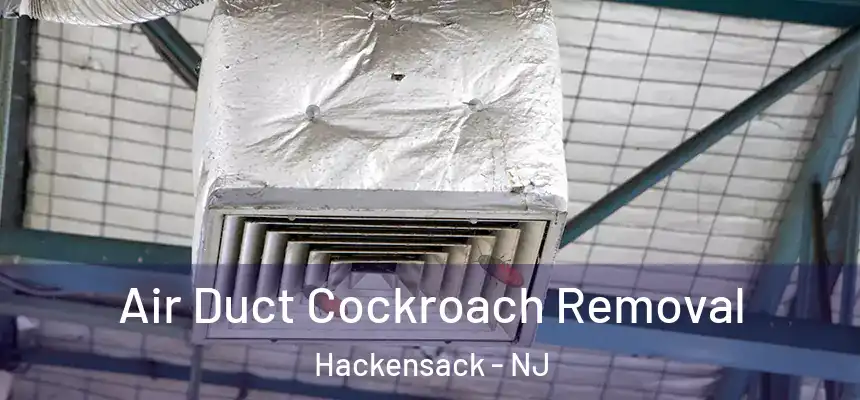  Air Duct Cockroach Removal Hackensack - NJ