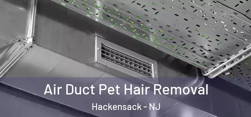 Air Duct Pet Hair Removal Hackensack - NJ
