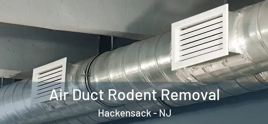  Air Duct Rodent Removal Hackensack - NJ