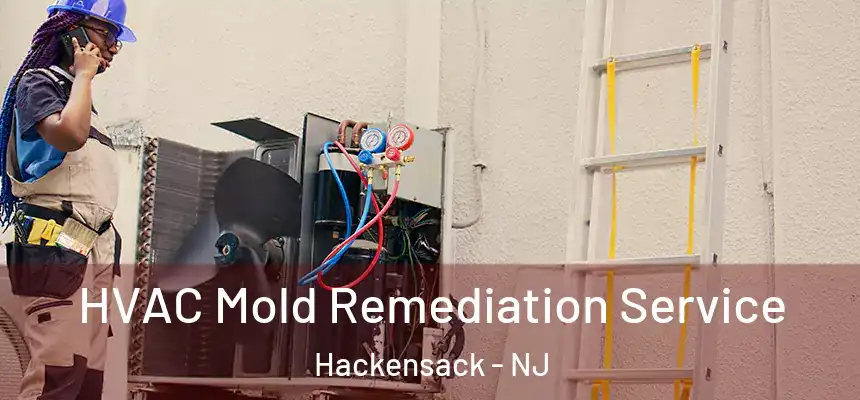  HVAC Mold Remediation Service Hackensack - NJ