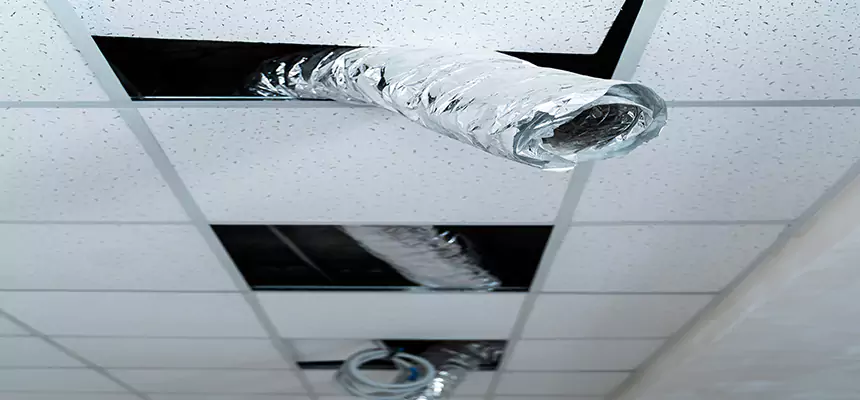 Our Air Duct Pet Hair Removal Services in Hackensack, NJ