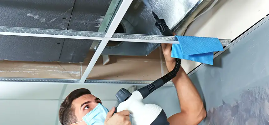 Our Air Duct Rodent Removal Services in Hackensack, NJ