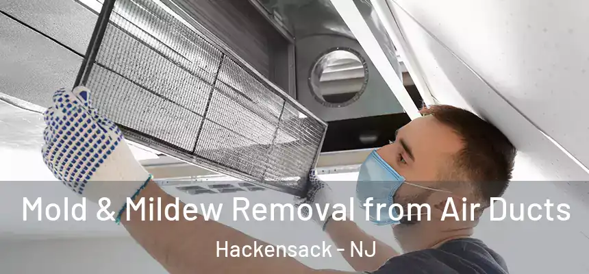  Mold & Mildew Removal from Air Ducts Hackensack - NJ
