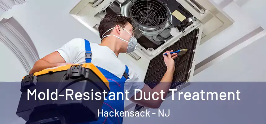  Mold-Resistant Duct Treatment Hackensack - NJ
