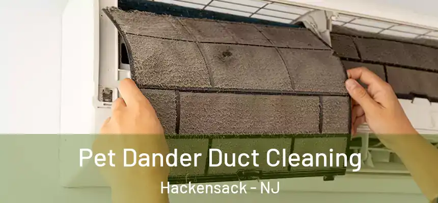  Pet Dander Duct Cleaning Hackensack - NJ