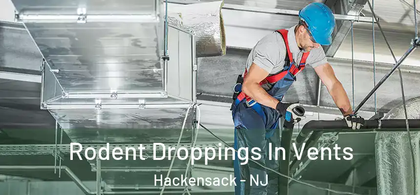  Rodent Droppings In Vents Hackensack - NJ