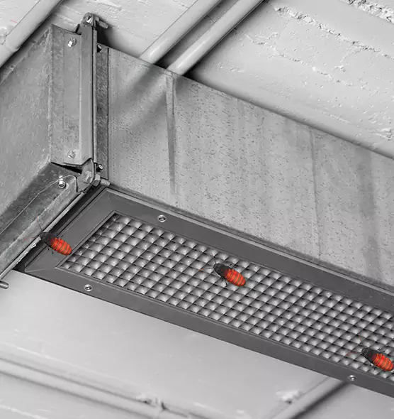 About Air Duct Cockroach Removal in Hackensack, NJ