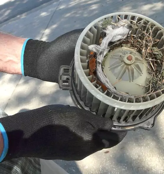 About Air Duct Mice Removal in Hackensack, NJ