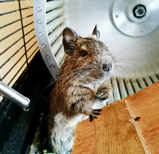 Why Homeowners & Businesses Trust Us Hackensack, NJ