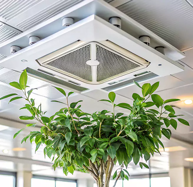 Why Homeowners & Businesses Trust Us in Hackensack, NJ?